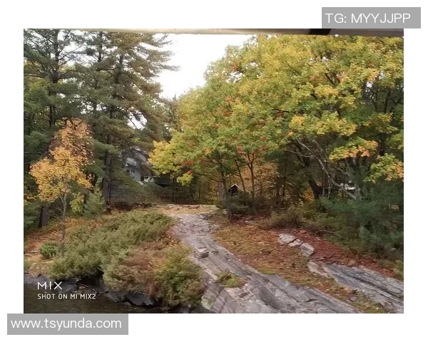 探索阿拉巴的历史与文化魅力，揭示这片土地的独特风景与人文故事